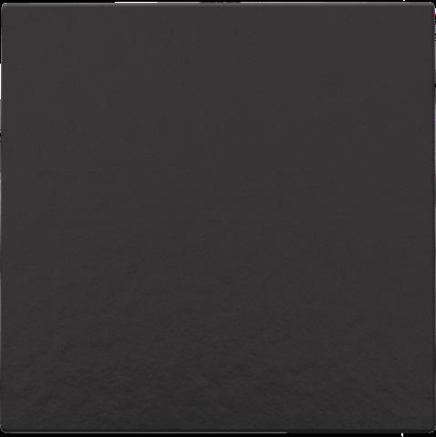 CPL  BLINDPLAAT B.BLACK