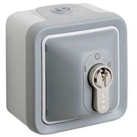 Plexo inter a cle 10a - 250v - composable gris