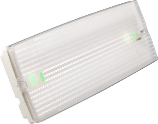 Maintained emergency luminary 90min. IP40 8W