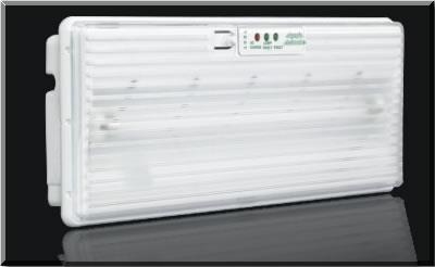 Self testing non-maintained emergency luminary 1 X 8W 90min. IP 40