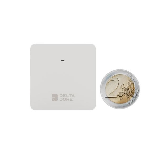 Delta Dore 737 sonde de température intérieure