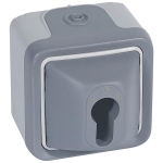Plexo inter a cle 10a - 250v - composable gris