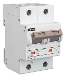 Disjoncteur F&G 2P 40A 25kA Courbe C   950800293