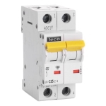 AUTOMAAT TECO 2P 25A 4,5KA CURVE C - L9C2524